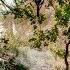 Bibio Old Graffiti Official Audio