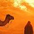 Desert Oud Arabian Music Meditation In Desert Arabian Ney Oud Wind