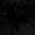 Even My Dog Betrays Me Funnyshorts Remnant2 Pain Gaming Friendsforever Betrayal