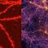 Structure Of The Brain VS The Universe Actual Similarities Found