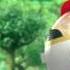 Sonic Boom Fire Ice E3 2016 Trailer