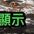 華爾街日報 內部文件顯示 川普已確定對華貿易戰開打時間 川普上任首日 遭戰狼挑釁 誰指使的 中共給自己找台階 中國網民嘲諷