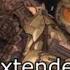 Halo 3 OST One Final Effort In Game Mix Extended Version