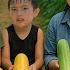 Harvesting Cucumbers Taking Them To The Market To Sell Daily Life On The Farm SURVIVAL ALONE