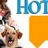 Hotel For Dogs 2009 Movie Review