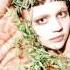 Grimes Vanessa