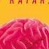 Наш мозг в эпоху катаклизмов Мозг и сахар алкоголь движение Зеркальные нейроны Плацебо Транс