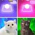 ALL CUTE CATS SHAKIRA WAKA WAKA ENEMY BTS BLACKPINK SAVAGE LOVE BABYSHARK TILES HOP