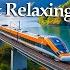 Japanese Nature Relaxing Instrumental Melody Soothing Music For Relaxation Mindful Healing