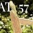 I M Living Alone But Not Lonely At 57 Slow Living UK