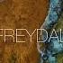 Freydal I M Your Medicine Official Music Video