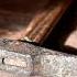 Hammer Hit Wood 1 Hour Relaxing And Educational Sound