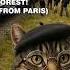 Secret Ghost Train Stop Hidden In The Forest Of Fontainebleau One Of The Most Beautiful Forests