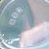 MomUung Silicone Breastpump Pompa ASI Manual Silikon