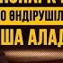 Нұрлан Қоянбаев Vs Алмаз Малдыбаев Кинопарк неге кино өндірушілерден ақша алады