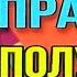 ВСЯ ПРАВДА ПОЛУЧИЛА ПО ЩАМ ПИРАТСКАЯ ЖИЗНЬ