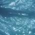 Jaws 1975 Chrissie S Last Swim Scene 1 10 Movieclips