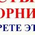 24 июня День Варнавы Что нельзя делать 24 июня Народные приметы и традиции и суеверия