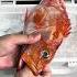 Kanama Smart Bait Revive Dead Bait Fish