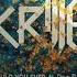 Skrillex Ft Poo Bear Would You Ever Ryan Browne Remix