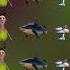 Find ODD Hamood Habibi Tralalero Nikocado 2 김프로 유백합 Lingang