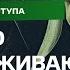 Юлия Латынина Сколько и почему поддерживают Путина Социология и выводы Фрагмент Кода Доступа