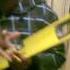 Havin A Gud Time Yo Boi Gakunsh Best Swahili Rap