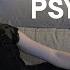 What If Psychiatry Is Fake Mia Mulder