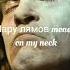 VTORNIK Money Rain Lyrics