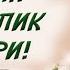 2020 ҚУРБОНЛИК ҚИЛИШ ХУКМЛАРИ ВА ФАЗИЛАТЛАРИ Қурбон ҳайитига тайёрланинг лайкни аяманг