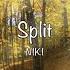 Split NIKI Lyrics