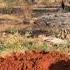 Kimbiji Organic Farm Building A Farm Workers House