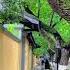 一条颐和路 半部民国史 莫叹芳菲尽 皆有绿树荫 南京 颐和路 民国建筑