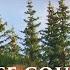 1 Hour Of Relaxing Music Dan Gibson S Solitudes Moose Country Full Album