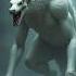 Incredible Animal Fusion Mind Blowing Creatures Formed By Fusing Different Species