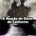 O Cachorro Solou Geral