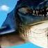 Bombardiro Crocodilo Crocodile Memes Fly