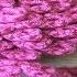 Super BATUTIFUL Knitting Crochet Tunisan Flomer