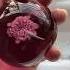 How To Open The Nano Tape Water S Flower Nanotape Diy Handmade ForYou