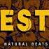 PISTA DE RAP FREESTYLE 9 INSTRUMENTAL DE HIP HOP PARA IMPROVISAR NATURAL BEATS