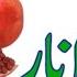 Alif Se Anar Bay Se Bandar Urdu Alphabets Alif Bay Pay Urdu Varnamala Learn Urdu SONAM WORLD
