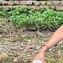A Rural Girl S Spring Household Routine Village Morning House Cleaning