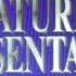 Opening To Andre 1995 VHS