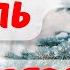 Гороскоп на февраль 2025 для знака зодиака Козерог