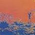 Up The Khyber 2024 Remix Pink Floyd