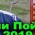 Гуштини милли 27 04 2019 Шамшод ва Абдулваххоб Чоми Пойтахт 2019