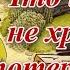 Что имеем не храним потерявши плачем