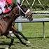 Incanto IRE And Jorge Ruiz In Front In The Texas Glitter Stakes GulfstreamPark