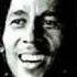 Bob Marley The Wailers Easy Skanking