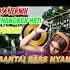DJ SANTAI BASS NYAMAN DJ CEK SOUND BASS JERNIH 1000 MENENANGKAN HATI DAN PIKIRAN MHLS PRO
